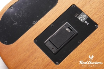 Acoustasonic Player Telecaster - Butterscotch Blonde